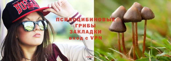 mdpv Алзамай