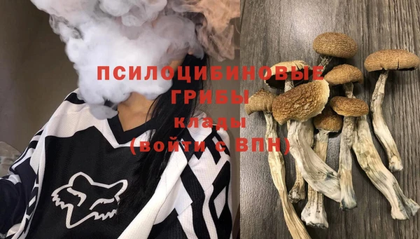 mdpv Алзамай