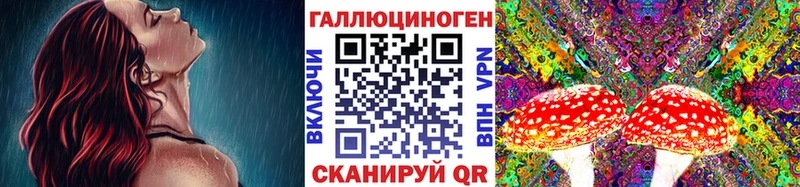 Псилоцибиновые грибы мухоморы  Шацк 
