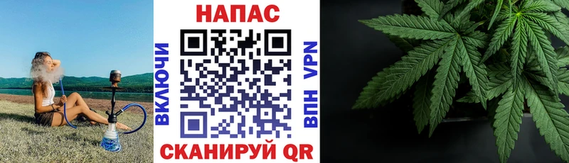 где можно купить   Шацк  Бошки Шишки LSD WEED 